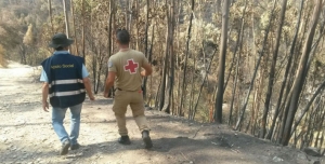 Agradecimento da Segurança Social do distrito de Faro