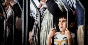 acolhimento refugiados